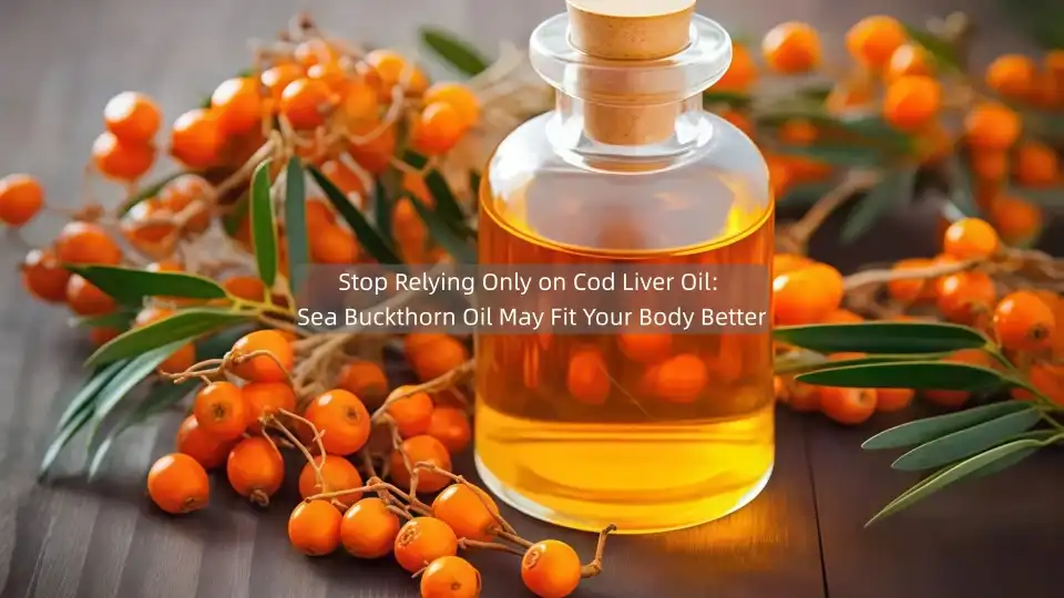 Stop Relying Only on Cod Liver Oil: Sea Buckthorn Oil May Fit Your Body Better